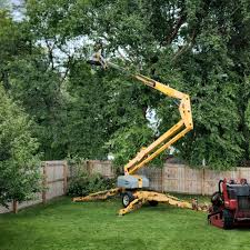 Best Lawn Mowing  in Lewiston, ID