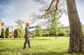 Lawn Pest Prevention in Lewiston, ID