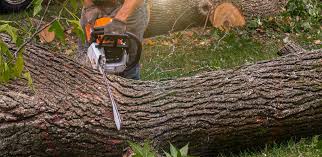 Lawn Irrigation Installation and Maintenance in Lewiston, ID