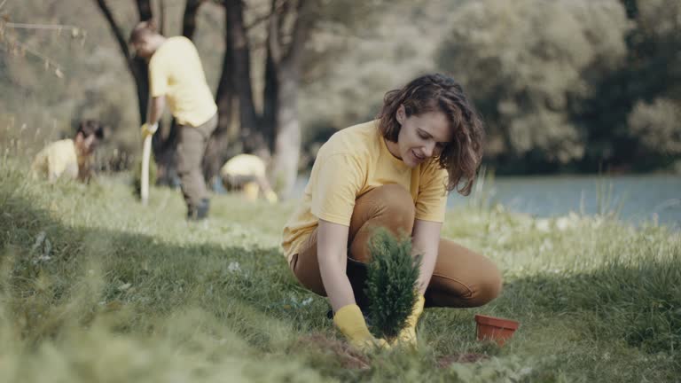 Best Root Management and Removal  in Lewiston, ID